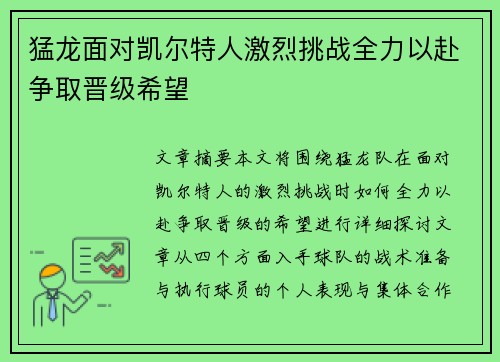 猛龙面对凯尔特人激烈挑战全力以赴争取晋级希望 猛龙面对凯尔特人激烈挑战全力以赴争取晋级希望
